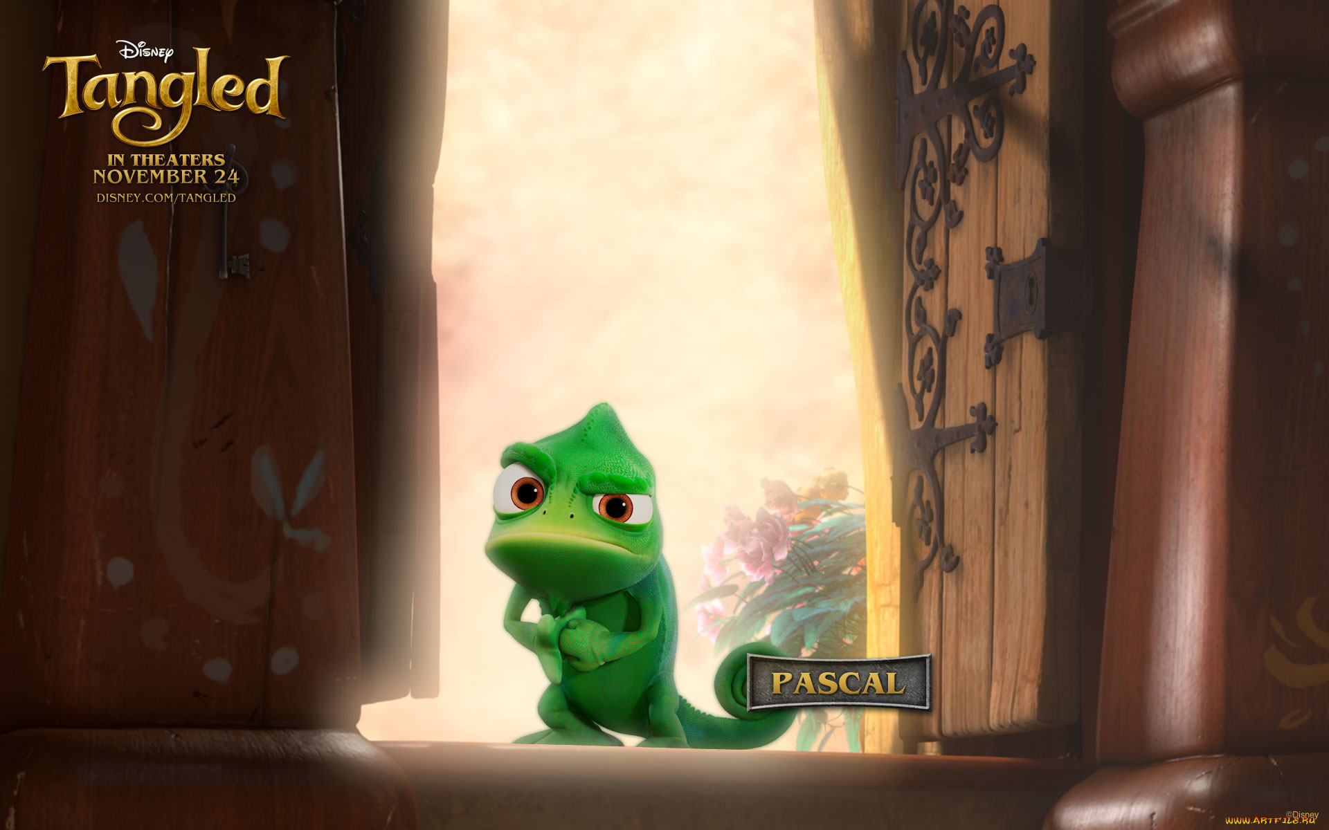tangled, 